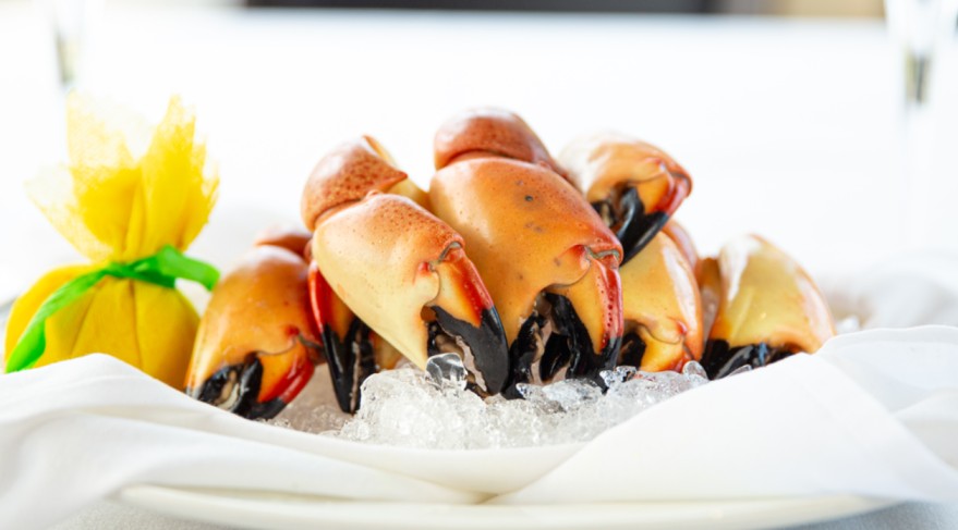 Grand Beach Hotel Miami - Cocktails, Meals, and Views 6