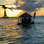 18e44092-a055-46d3-8cb0-b9e80f2c9c4c_1_orig