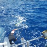 51227938_2633443763362615_3383941897146859520_n