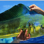 Blueheaven2
