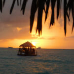 Cruisin'TikisMarathon