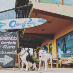 OceanFreaks4