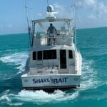 ShakenBait2