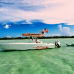 mermaid-charters-resized