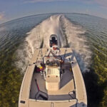 LiveActionCharters