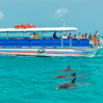 fury-key-west-dolphin-watch-2