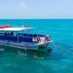 fury-key-west-dolphin-watch-4