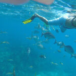 sea dwellers 2