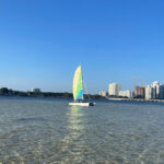 Sail Ahead 5