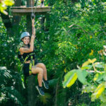 Treetop 9