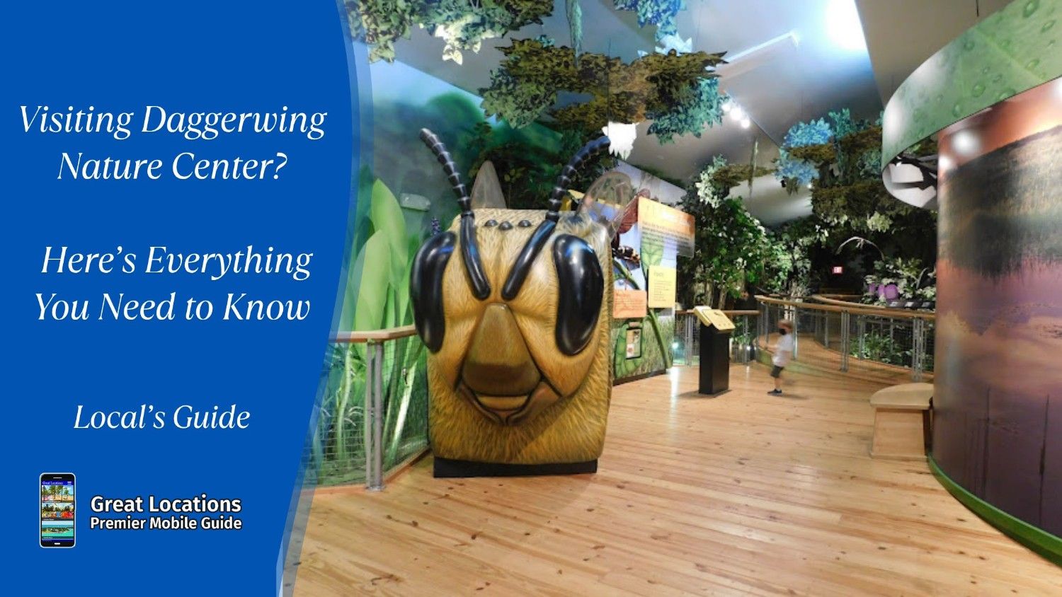 Visiting Daggerwing Nature Center? Here’s Everything You Need to Know