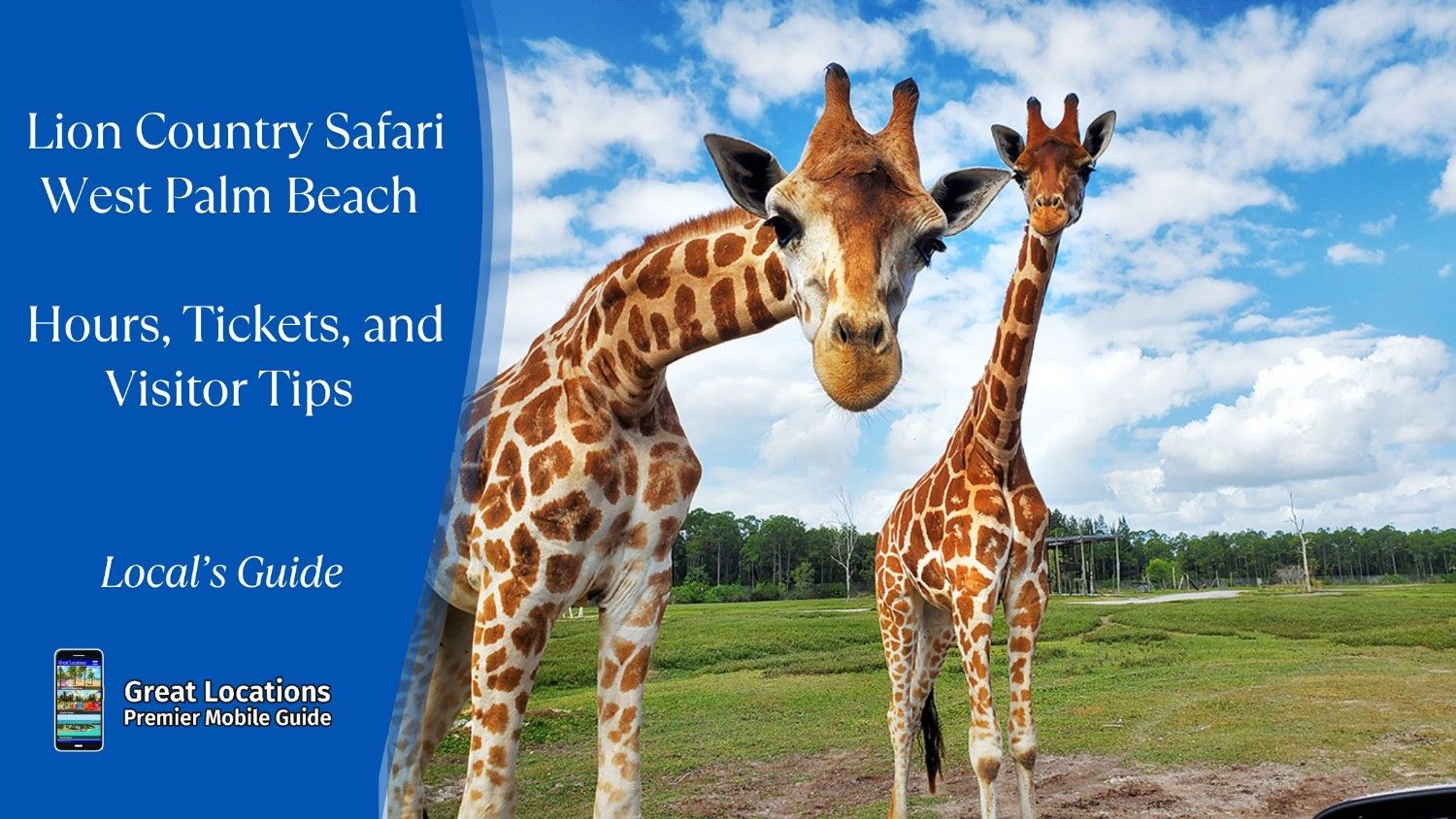 Lion Country Safari West Palm Beach - Hours, Tickets, and Visitor Tips