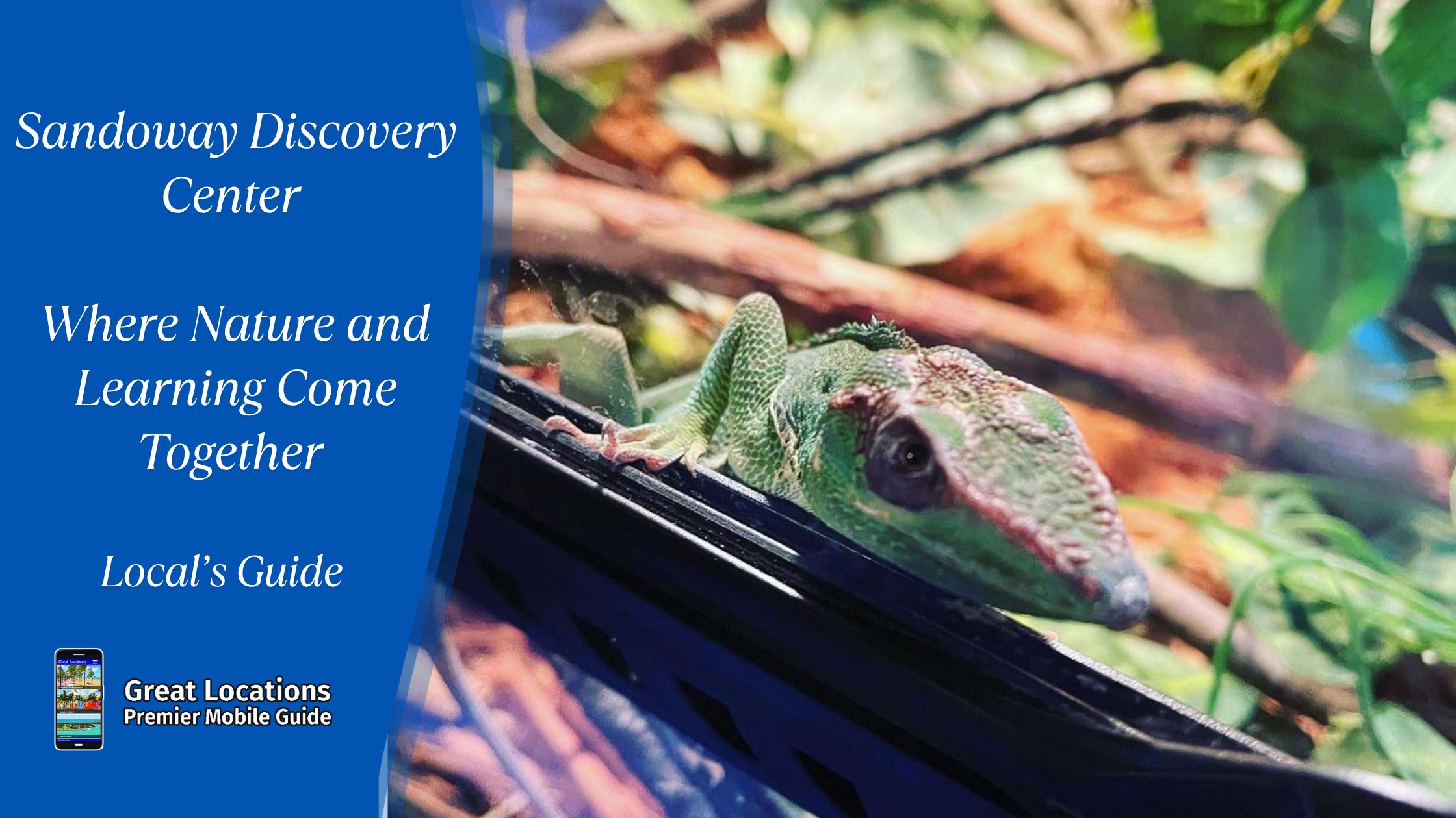 Sandoway Discovery Center - Where Nature and Learning Come Together