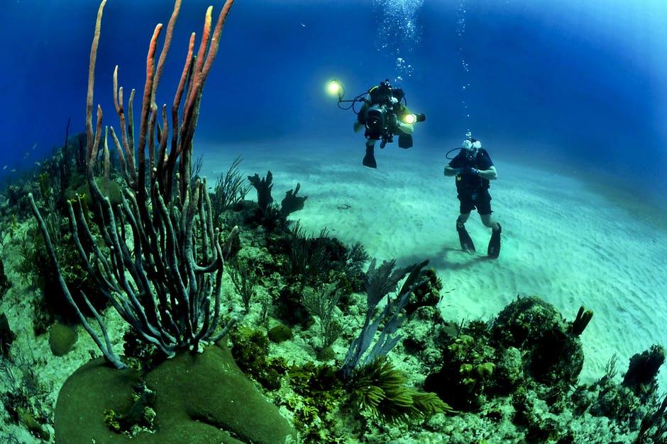 A Deep Blue Scuba Diving & Snorkeling