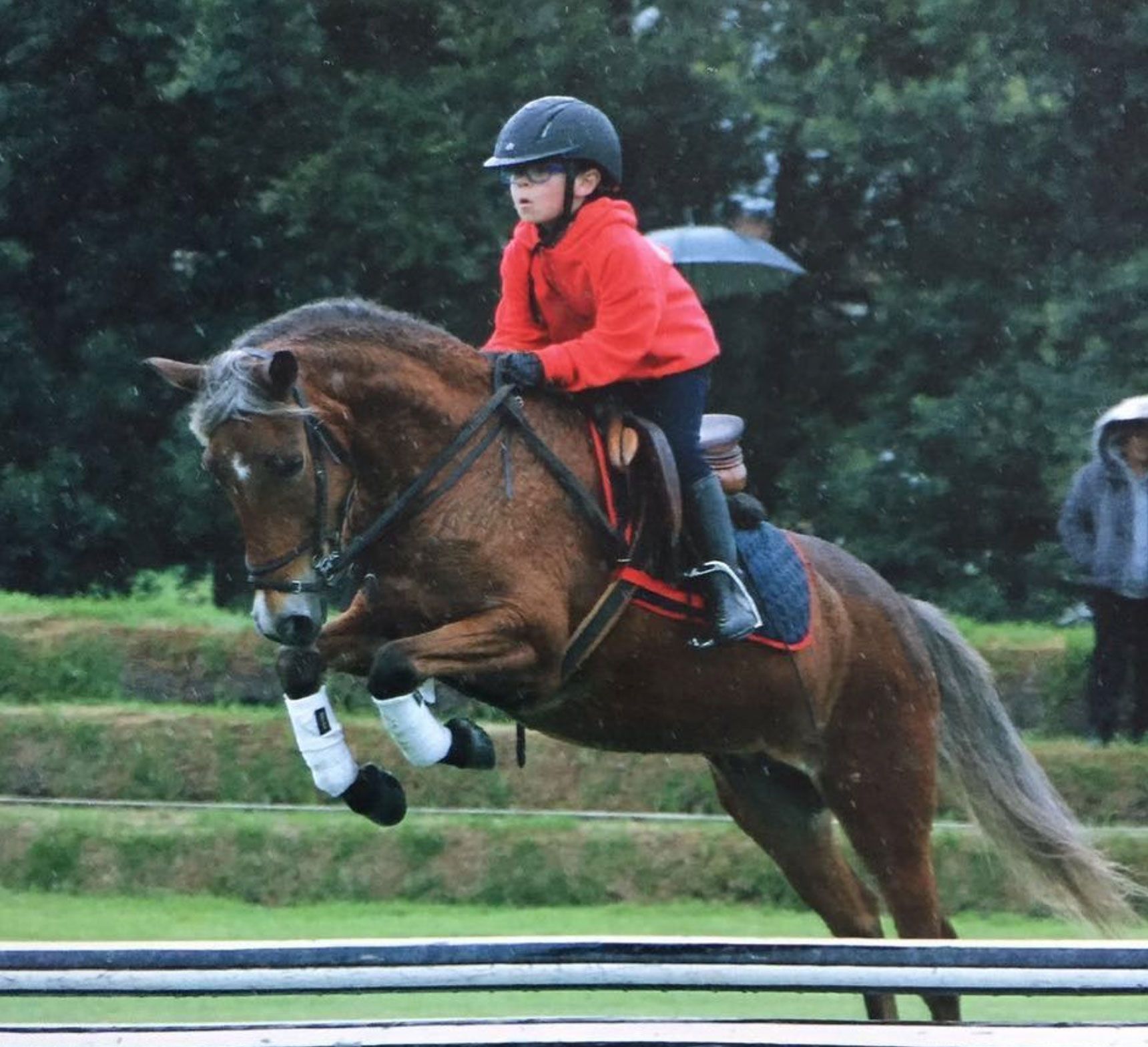 Capriola Equestrian