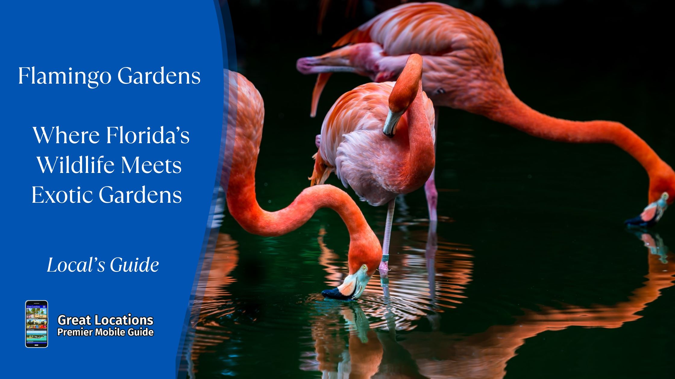 Flamingo Gardens - Where Florida’s Wildlife Meets Exotic Gardens