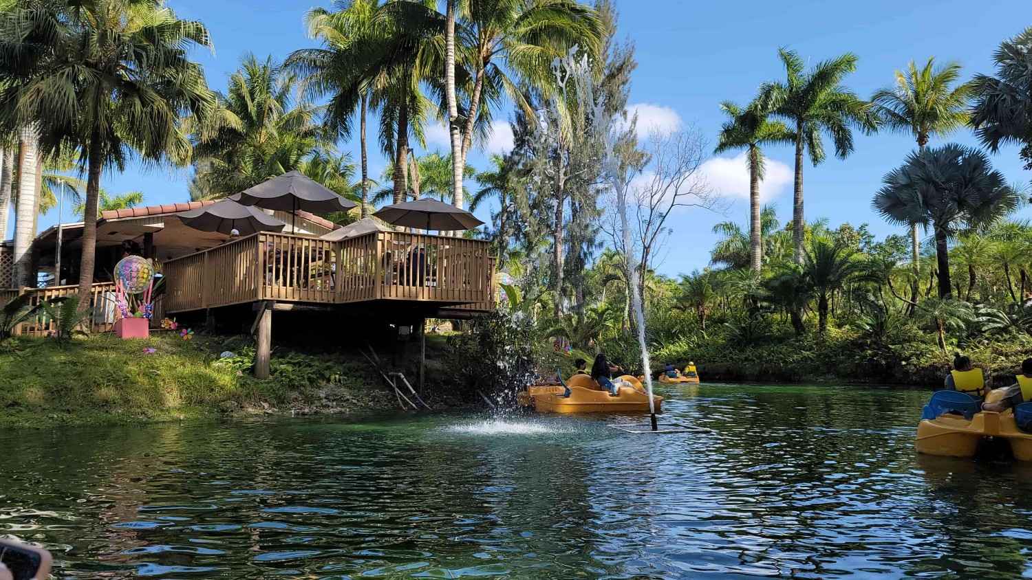 Florida travel trends