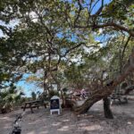 The Grove (5)
