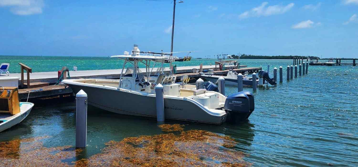Sand Dollar Boat Rentals