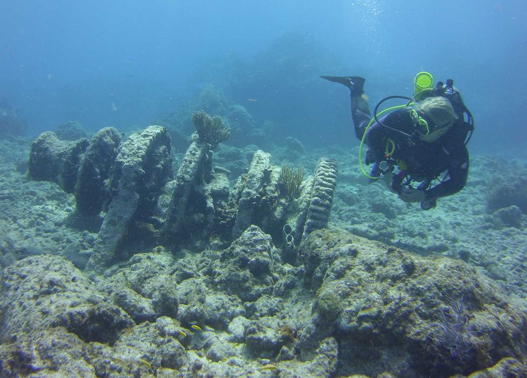 Sea Dweller III Dive & Snorkel