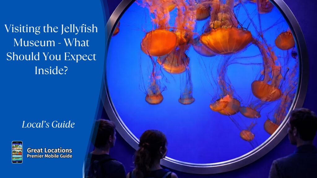 Jellyfish Museum