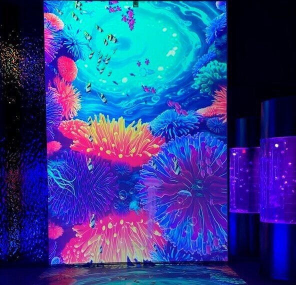 Jellyfish Museum Wall