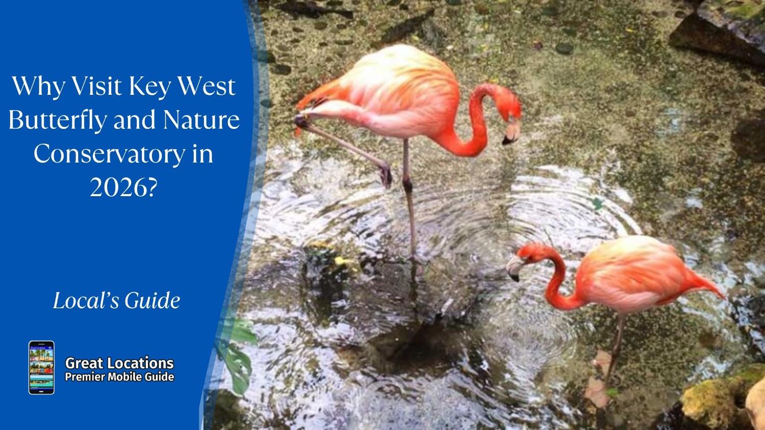 Why Visit Key West Butterfly and Nature Conservatory in 2026?