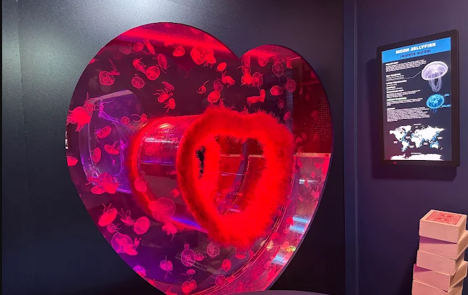 Screenshot 2026-04-09 155142